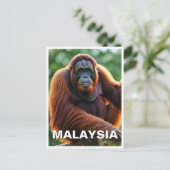 Malaysia Orangutan Briefkaart (Staand voorkant)