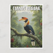 Malaysia Taman Negara Hornbill Briefkaart (Voorkant)