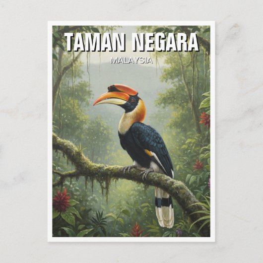 Malaysia Taman Negara Hornbill Briefkaart (Voorkant)