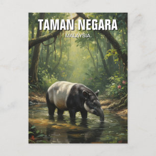 Malaysia Taman Negara Malayan Tapir Briefkaart