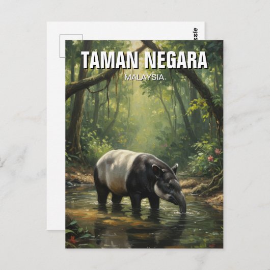 Malaysia Taman Negara Malayan Tapir Briefkaart (Voorkant / Achterkant)