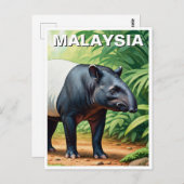 Malaysia Tapir Briefkaart (Voorkant / Achterkant)