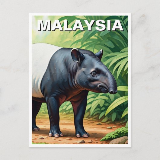 Malaysia Tapir Briefkaart (Voorkant)