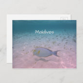 Maldiven Greeting Briefkaart (Voorkant / Achterkant)