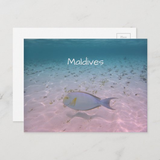 Maldiven Greeting Briefkaart (Voorkant / Achterkant)