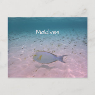 Maldiven Greeting Briefkaart