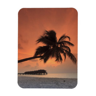 Maldiven, Meemu Atoll, Medhufushi Island Magneet