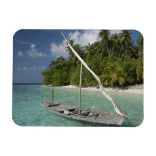 Maldiven, Noord-Male Atol, Eiland Kuda Magneet