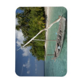 Maldiven, North Male Atoll, Island of Kuda Magneet (Verticaal)