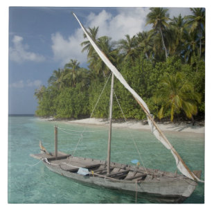 Maldiven, North Male Atoll, Island of Kuda Tegeltje