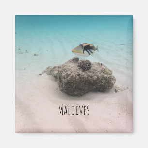 Maldiven White Sand Lagoon Coral Fish Souvenir Magneet