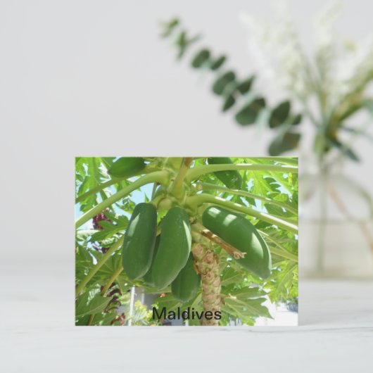 MALDIVES BRIEFKAART (Staand voorkant)