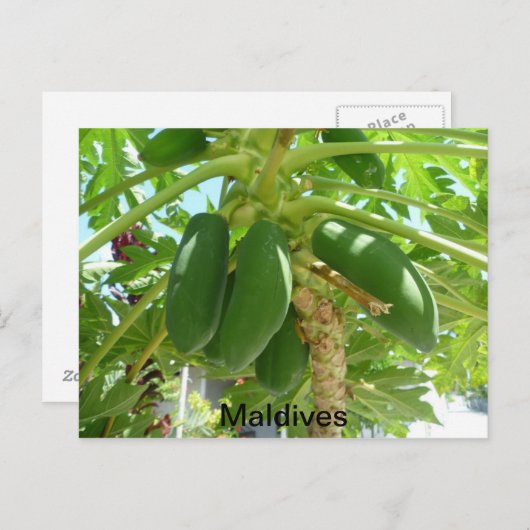 MALDIVES BRIEFKAART (Voorkant / Achterkant)