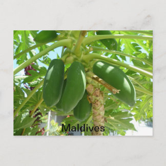 MALDIVES BRIEFKAART