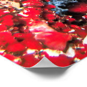 Maldives Reef Snapshot Poster (Hoek)