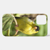 Male American Goldfinch Case-Mate iPhone Case (Achterkant (horizontaal))