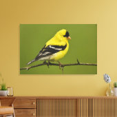 Male American Goldfinch in fokprogramma's, Canvas Afdruk (Insitu (Woonkamer))