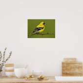 Male American Goldfinch in fokprogramma's, Poster (Keuken)