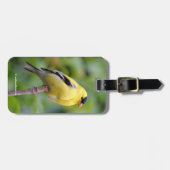Male American Goldfinch op de Bamboe Bagagelabel (Voorkant horizontaal)