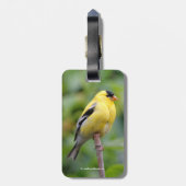 Male American Goldfinch op de Bamboe Bagagelabel (Achterkant verticaal)