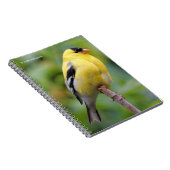 Male American Goldfinch op de Bamboe Notitieboek (Rechterzijde)