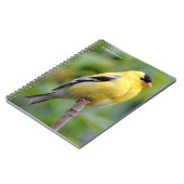 Male American Goldfinch op de Bamboe Notitieboek (Linkerzijde)