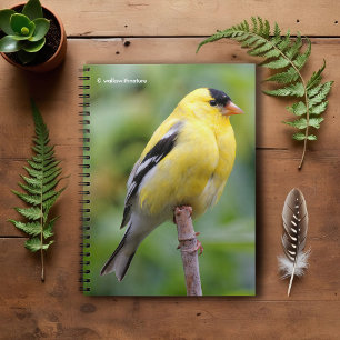 Male American Goldfinch op de Bamboe Notitieboek