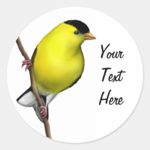  Male American Goldfinch Sticker