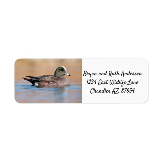 Male American Wigeon Etiket (Voorkant)