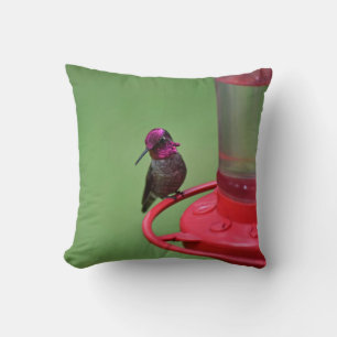 Male Anna's Hummingbird Pillow Kussen