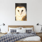 Male Barn Owl (Tyto alba), Verenigde Staten. Canvas Afdruk (Insitu (Slaapkamer))