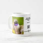 Male Black Chin Hummingbird Mok (Voorkant links)