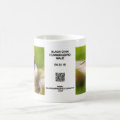 Male Black Chin Hummingbird Mok (Center)