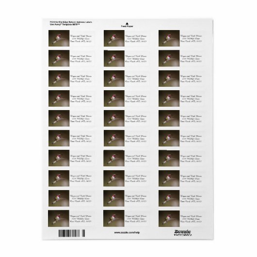 Male Broad - staartkolibrie Etiket (Full Sheet)