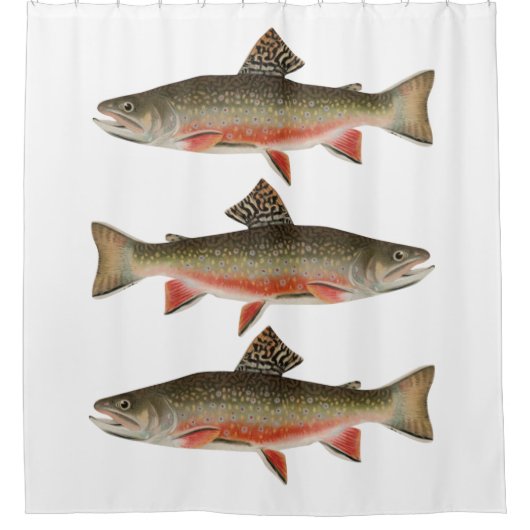 Male Brook Trout Vist avontuur Douchegordijn (Voorkant)