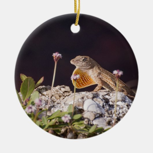 Male Brown Anole Lizard met dewlap Keramisch Ornament (Voorkant)