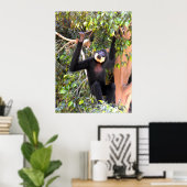 Male Buff kekte gibbon Poster (Thuiskantoor)