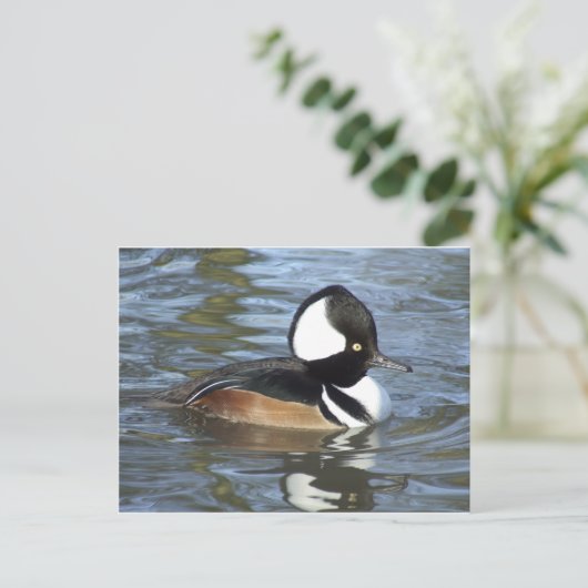 Male Bufflehead Briefkaart (Staand voorkant)