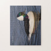 Male Bufflehead Duck in the Aftermiddag Sun Legpuzzel (Verticaal)