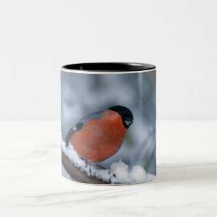 Male Bullfinch in de sneeuwMok Tweekleurige Koffiemok