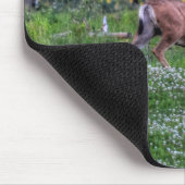 Male Deer Buck op Ranch Wildlife Foto Muismat (Hoek)