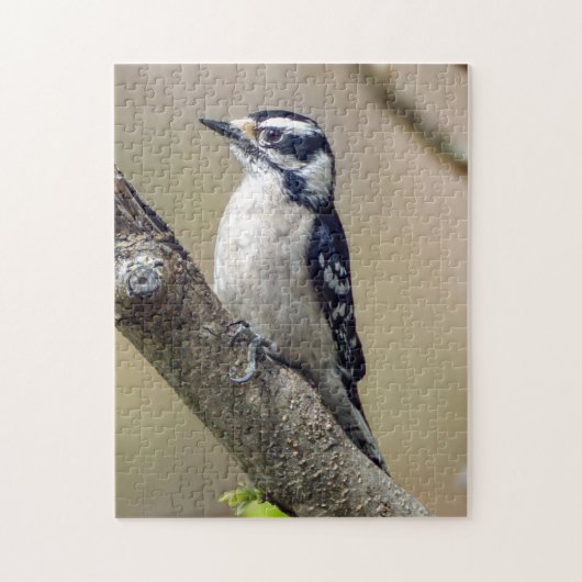 Male Downy Woodpecker Puzzle Legpuzzel (Verticaal)