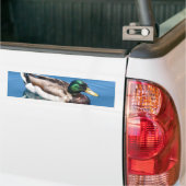 Male Duck Bumpersticker (Op Truck)