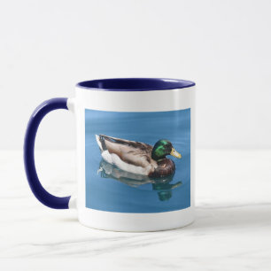 Male Duck Mok