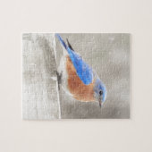 Male Eastern Bluebird Legpuzzel (Horizontaal)