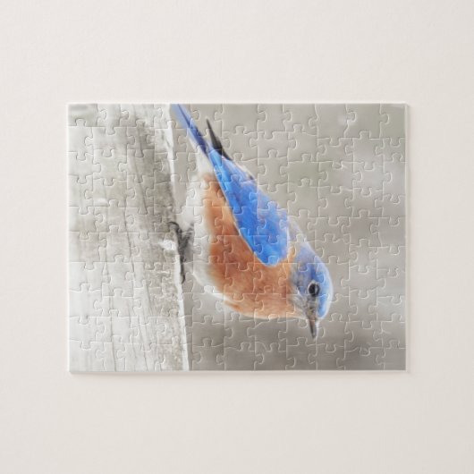 Male Eastern Bluebird Legpuzzel (Horizontaal)