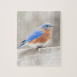 Male Eastern Bluebird Legpuzzel