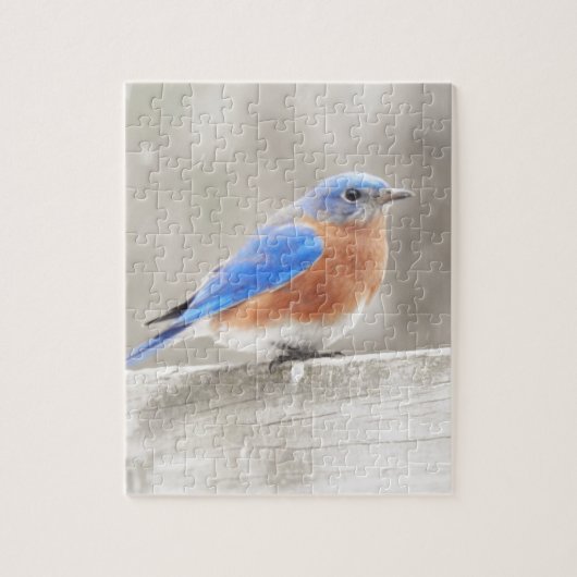 Male Eastern Bluebird Legpuzzel (Verticaal)