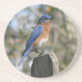 Male Eastern Bluebird Zandsteen Onderzetter