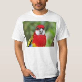 Male Eastern Rosella T-shirt